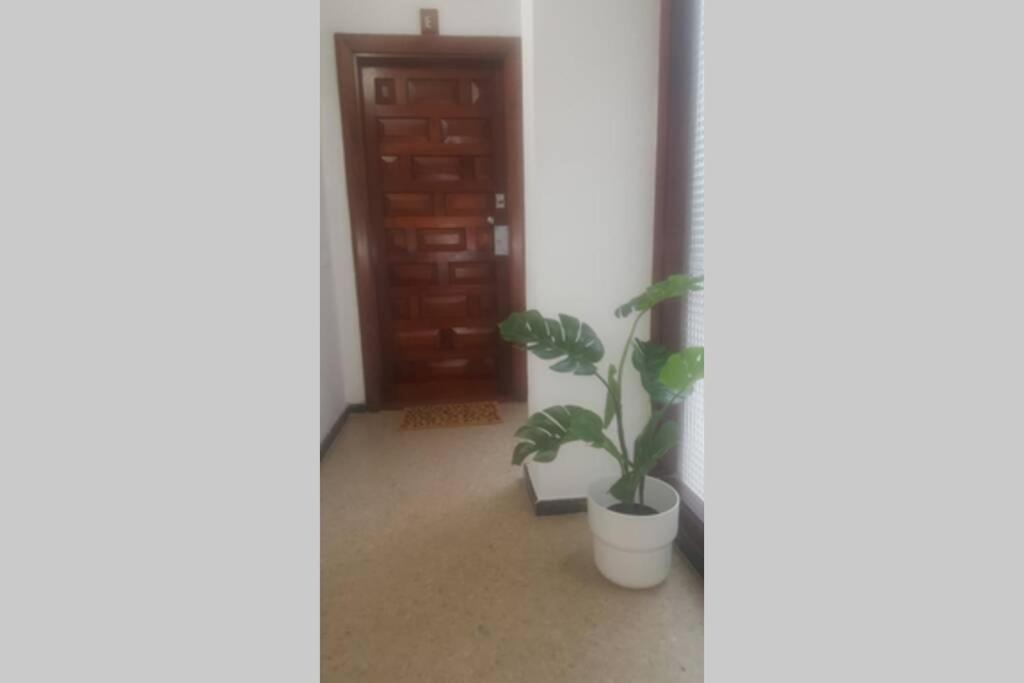 Apartment Victoria 51.